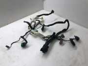 Kabel Tür vorne rechts VOLVO S80 II (AS) D5 AWD 30773656