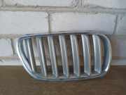 Vorderer oberer Gitter BMW X3 (E83) 3.0 sd