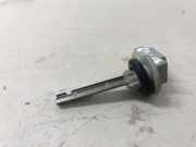 Außentemperatursensor FORD GALAXY (WA6) 2.0 TDCi