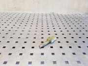 Sensor für Gaspedalstellung Audi 80 Avant (8C, B4) 443945515