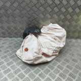 Lenkrad Airbag HYUNDAI KONA EV SEL 80100-J9000TRY