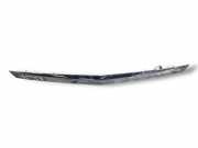 Kennzeichenbeleuchtung OPEL ASTRA H (L48) 1.4 LPG 481088395