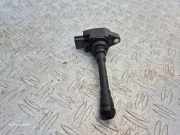 Zündspule Nissan Juke (F15) XICAB06N