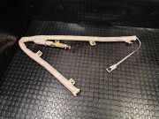 Airbag Dach rechts Citroen C4 II (B7) 9801890680