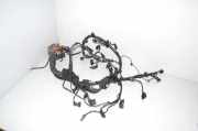 Motor Kabelbaum BMW 5 Touring (F11) 530 d 12517823755 7823755