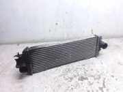 Ladeluftkühler OPEL VIVARO Combi (J7) 1.9 DTI 91166035 7700312903G