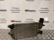 Ladeluftkühler Fiat Ducato Kasten (250) 1319508