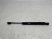 Heckklappe Gasdruckfeder links CHEVROLET CORVETTE (C7) 6.2 22772879