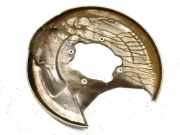 Rear Brake Disc Protection