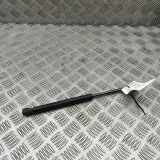 Gasfeder für Motorhaube Jaguar XJ (X350, X358) 2W9316C826AB