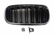 Vorderer oberer Gitter BMW X5 (F15, F85) M 8056324