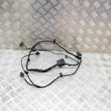 Kabelbaum Hinteren Parksensoren MERCEDES-BENZ E (W213) E 220 d (213.004) N/A