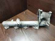 Ansaugbrücke NISSAN PRIMASTAR Furgon (X83) 2.0 dCi 115 7116 1213