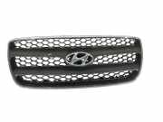 Gitter Grill vorne links HYUNDAI SANTA FÉ II (CM) 2.2 CRDi 865612B000