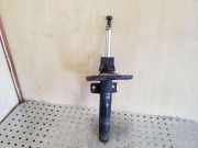 Stoßdämpfer vorne links