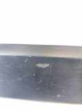 Türleiste rechts FIAT FIORINO Furgon/Estate (225_) 1.3 D Multijet 1308823070