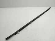 Zier-/Schutzleiste für Türscheibe Honda Civic IX (FB, FG)