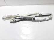 Airbag Dach links Ford Galaxy (CK) EM2BU042D95AR
