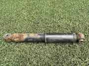 Stoßdämpfer hinten links