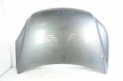 Motorhaube VW Tiguan I (5N)