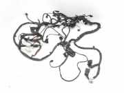 Motor Kabelbaum MERCEDES-BENZ R (W251, V251) R 320 CDI 4-matic (251.022, 251.122)