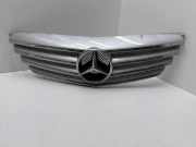 Vorderer oberer Gitter MERCEDES-BENZ B (W245) B 180 CDI (245.207) A1698800783