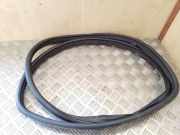 Türdichtung Mercedes-Benz A-Klasse (W169) A1696920176