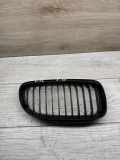 Gitter BMW 3 (E90) 320 i 7201968