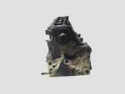 Motorkopf RENAULT LAGUNA II (BG0/1_) 1.9 dCi (BG0R)
