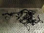 Motor Kabelbaum NISSAN JUKE (F15) 1.6 240111KA2C