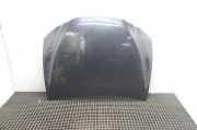 Motorhaube LEXUS ES (_Z10_, _A10_, _H10_) 300h (AXZH10, AXZH11) COLOR CODE: 223