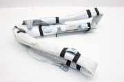 Airbag Dach links Nissan Leaf (ZE0) 34146649