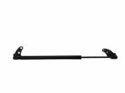 Gasfeder für Motorhaube Tesla Model S (5YJS) 6006603