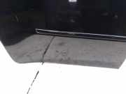 Tür rechts hinten BMW X5 (E70)