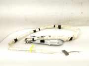Airbag Dach links VW Tiguan I (5N) 5N0880741L