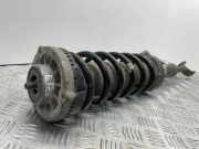 Stoßdämpfer vorne links BMW 5 Gran Turismo (F07) 530 d 679544501 10541314