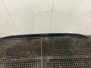 Dachreling rechts BMW X1 (F48) xDrive 20 d 741046605