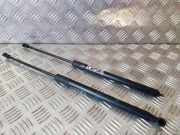 Heckklappe Gasdruckfeder links BMW 1 (F21) 116 d 7239871