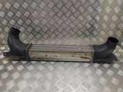 Ladeluftkühler OPEL OMEGA B (25_, 26_, 27_) 2.5 DTI 52482359