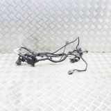 Kabelbaum BMW X4 (G02, F98) xDrive20i 8635695 8635694