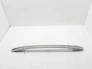 Dachreling links Renault Koleos I (HY)