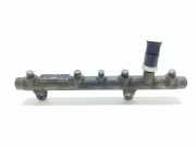 Kraftstoffzuführung RENAULT GRAND SCÉNIC II (JM0/1_) 1.9 dCi (JM0G, JM12, JM1G, JM2C) 0445214015 7700111013