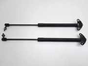 Heckklappe Gasdruckfeder rechts VW TIGUAN (5N_) 2.0 TDI 5N0827550D01S 5N0827550D
