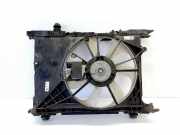 Kühlmodul Toyota Auris (E18) 163630N020