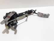 Gaspedal RENAULT MEGANE II Coupé-Cabriolet (EM0/1_) 1.9 dCi 8200153269B