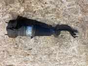 pneumatische Stoßdämpfer AUDI A8 D4 (4H_) 3.0 TDI quattro 4H0616039