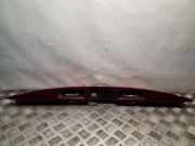 Kennzeichenbeleuchtung Verkleidung