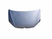 Motorhaube VW SHARAN (7N1, 7N2) 1.4 TSI
