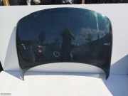 Motorhaube Audi TT Roadster (8N)