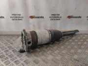 pneumatischer Stoßdämpfer hinten rechts AUDI A8 D2 (4D2, 4D8) S8 quattro 4E0616002G